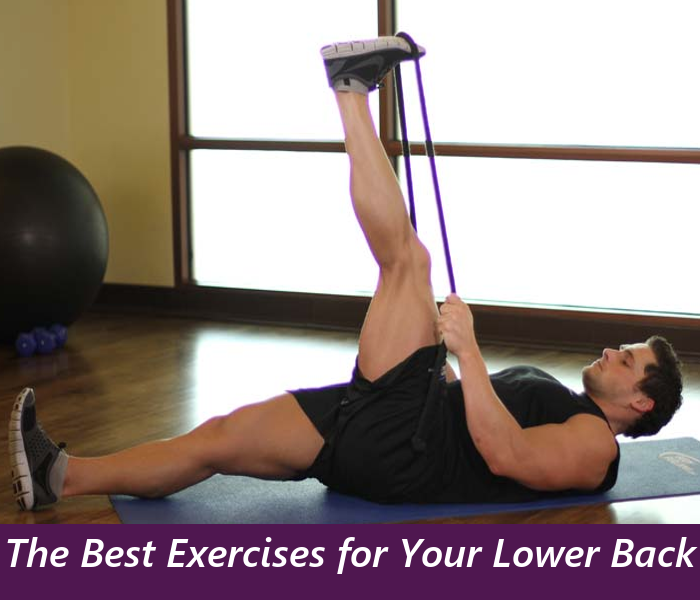 The Best Exercises for Your Lower Back